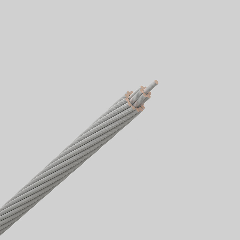 裸電纜